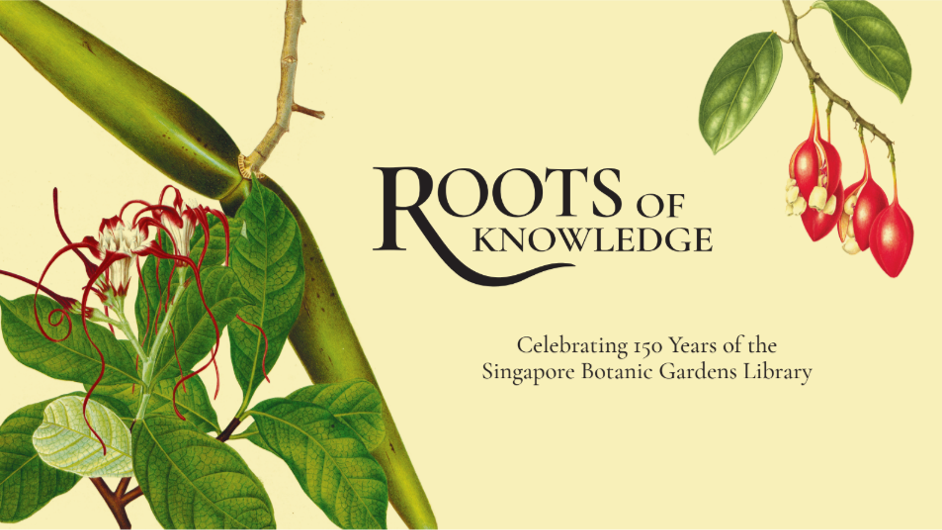 Roots of Knowledge