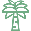 Palm