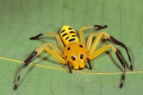 Copyright belongs to the photographer.