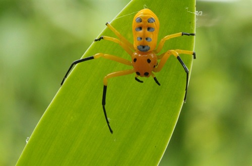 Copyright belongs to the photographer.