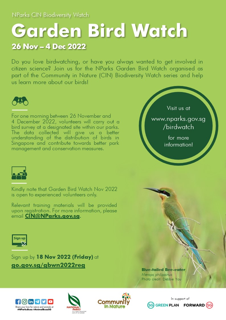 NParks Garden Bird Watch - Community In Nature Initiative ...