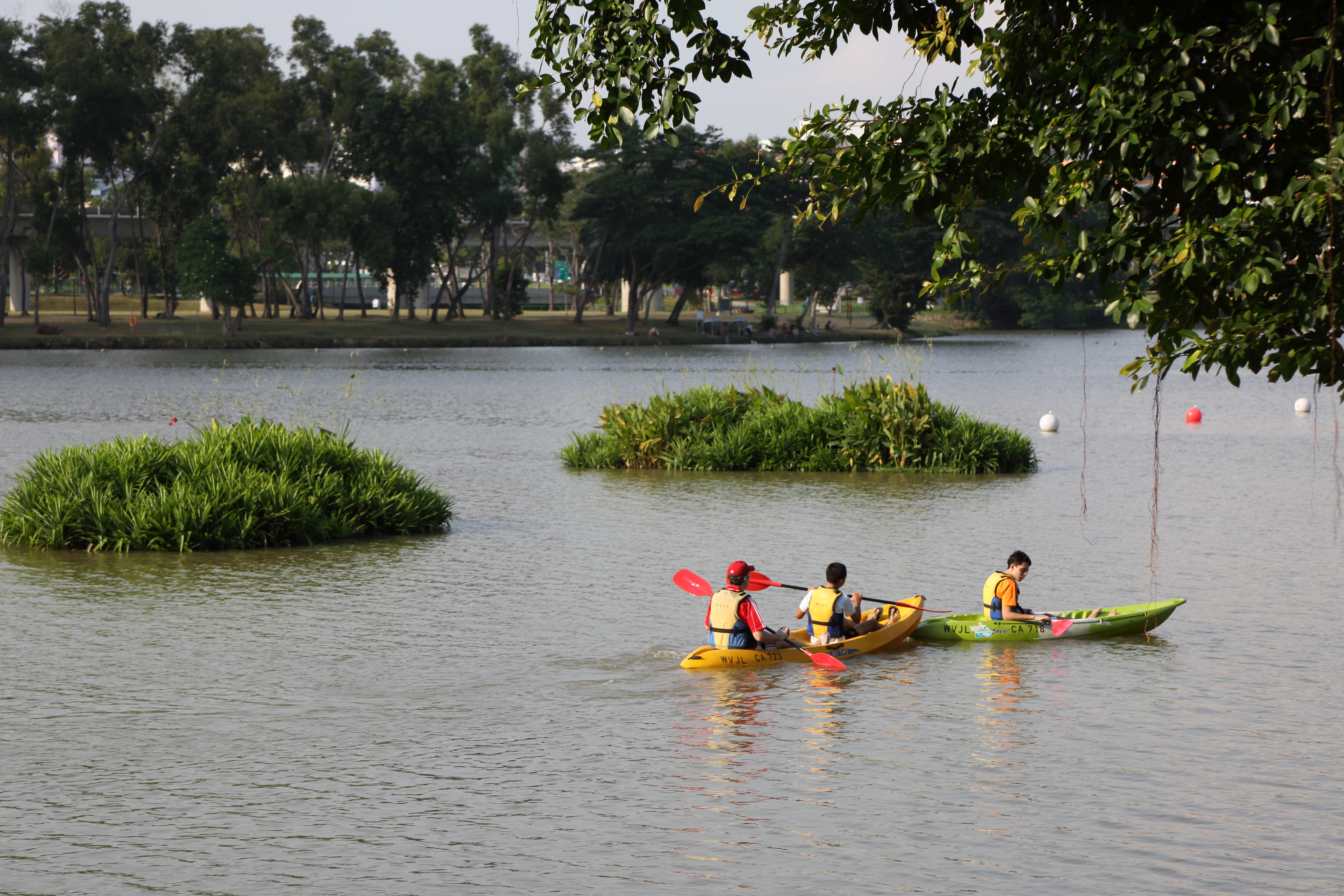 Water Sports - Fitness, Sports and Wellness - Activities - National Parks  Board (NParks)