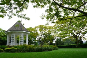 Singapore Botanic Gardens: Workshops & Guided Walks for Organised ...