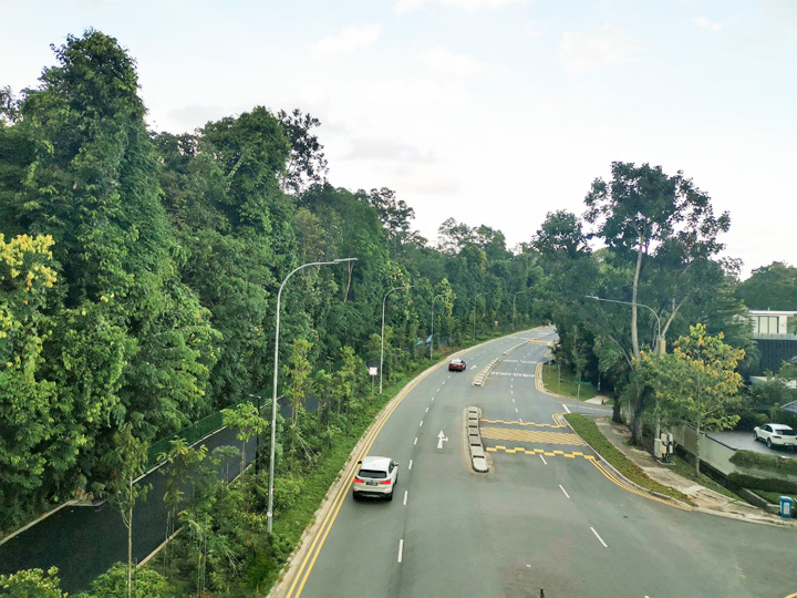 Bishan-Ang Mo Kio Park - Parks & Nature Reserves - Gardens, Parks ...