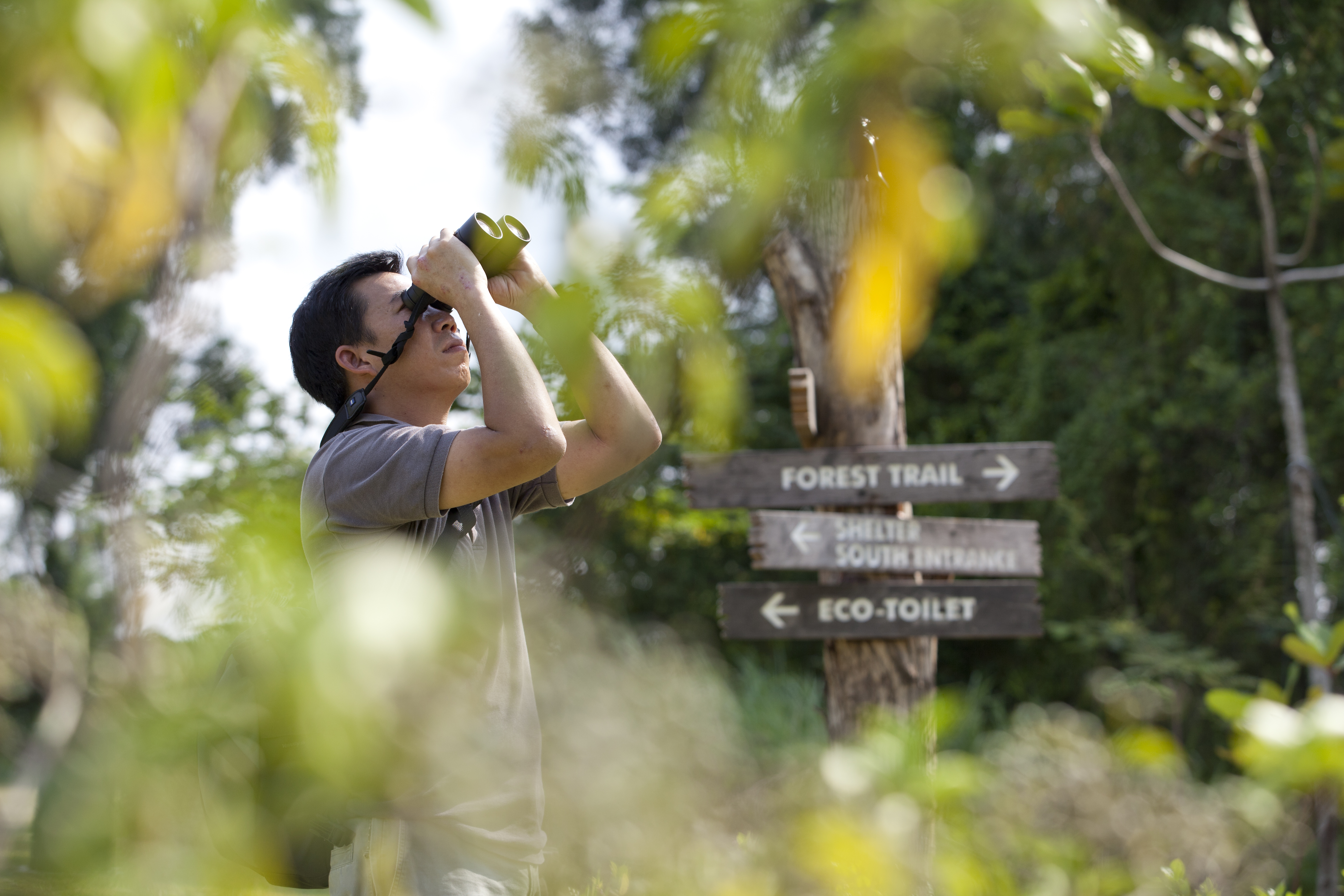 Tampines Eco Green - Parks & Nature Reserves - Gardens, Parks & Nature -  National Parks Board (NParks)