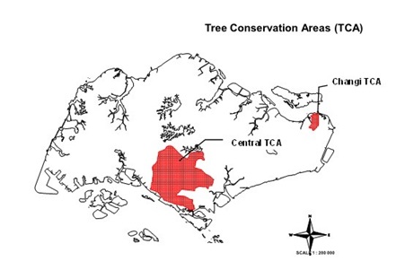 Tree Conservation Areas - Gardens, Parks & Nature - National Parks Board  (NParks)