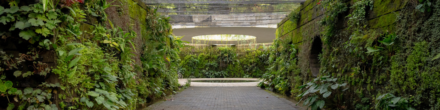 sunken garden