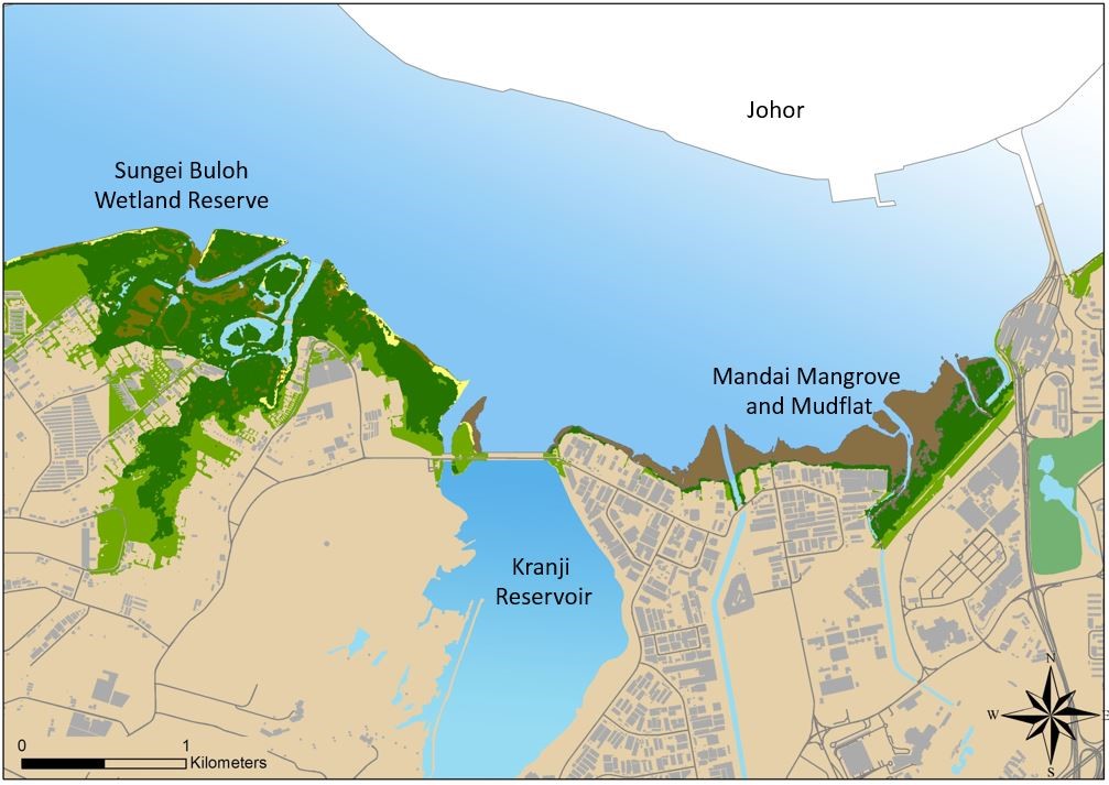 Mandai Mangrove And Mudflat Will Be Conserved As A Nature Park ...