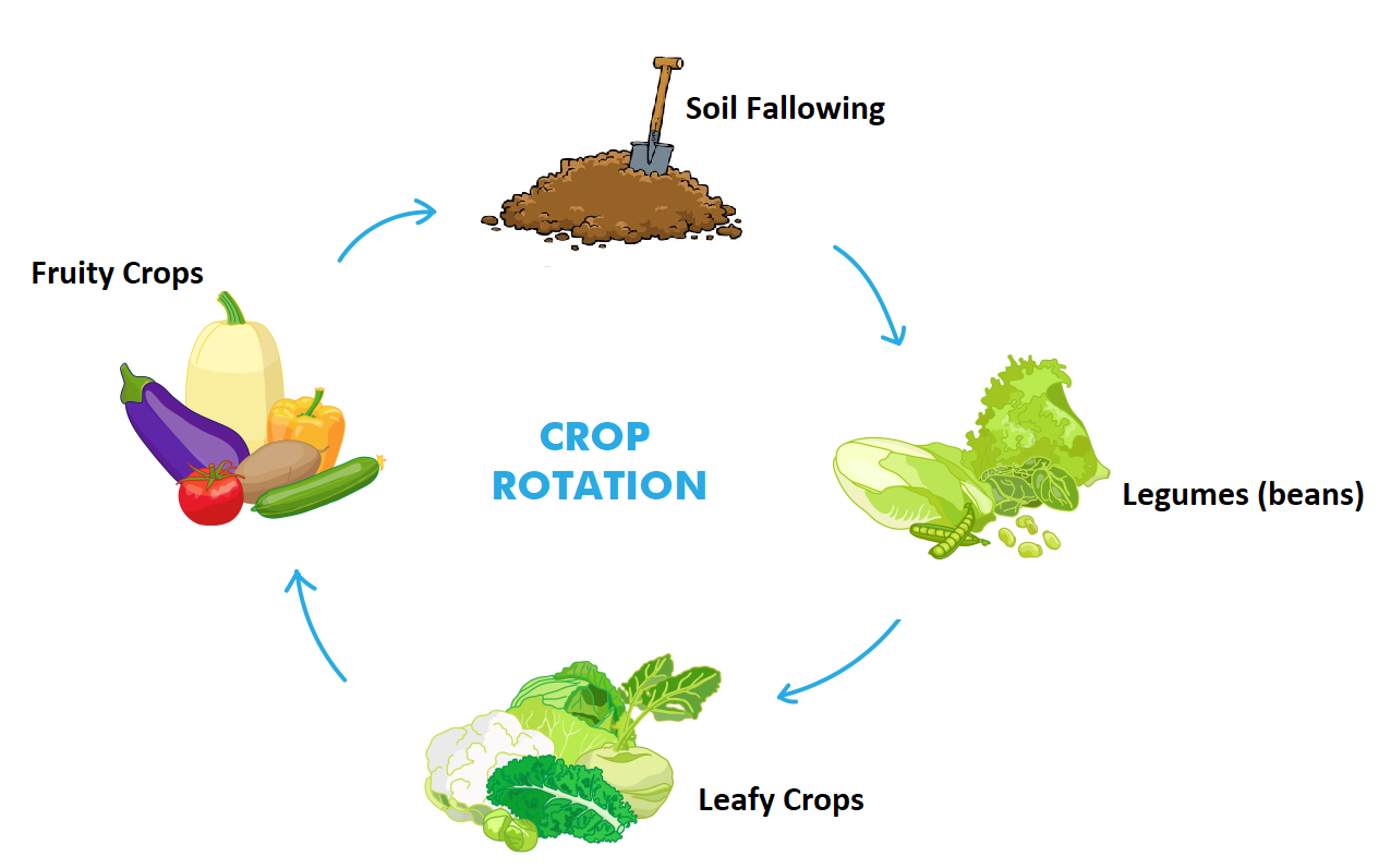 Three Sustainable Horticulture Tips