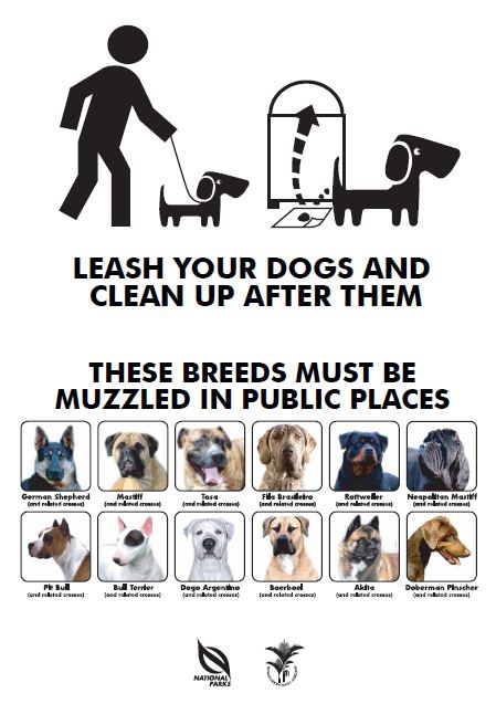 Guidelines for Muzzling Dogs in Singapore