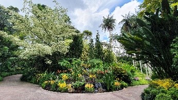 Sculpture of cranes at National Orchid Garden