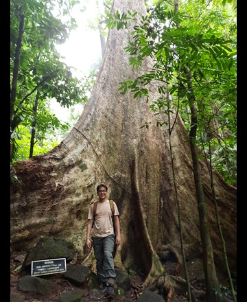 Image of Researcher, Dr Daniel THOMAS.