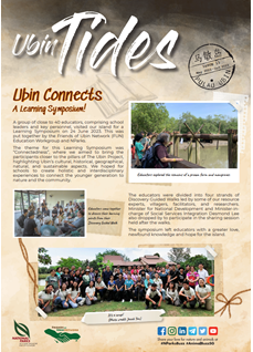 Ubin tide 11 cover