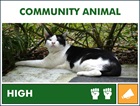 YSN 1 Community Animal