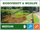 YSN 10 Biodiversity and Wildlife