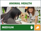 YSN 2 Animal Health