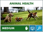 YSN 3 Animal Health