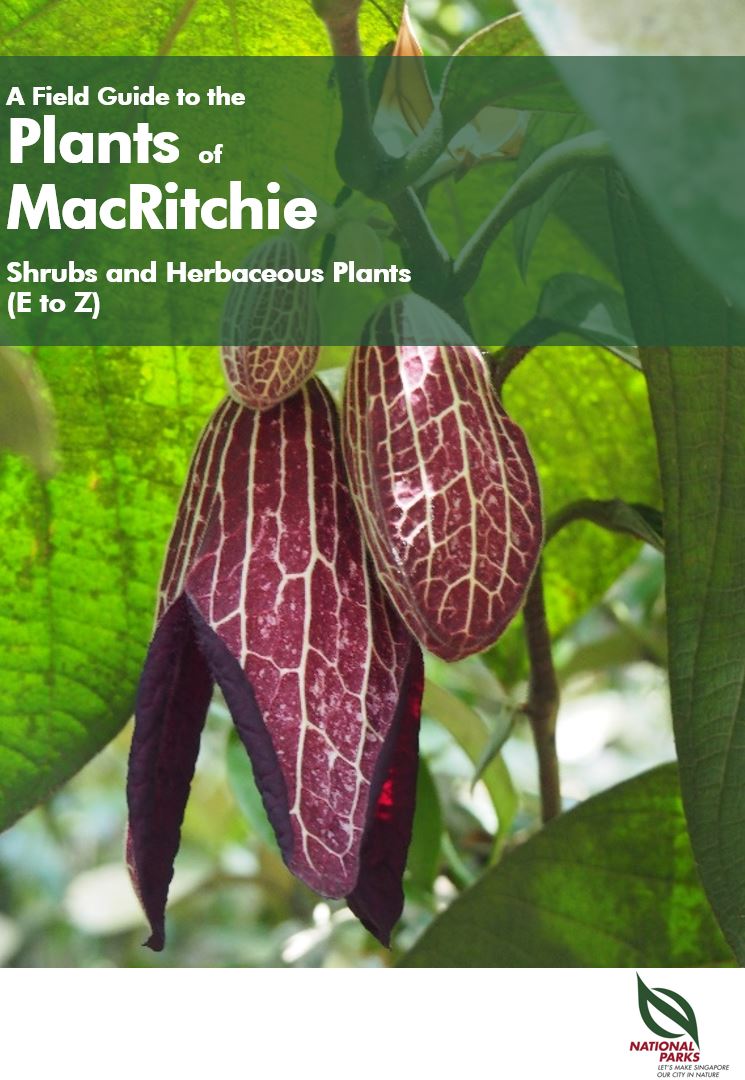 A Field Guide to Shrubs and Herbaceous Plants in MacRitchie Reservoir Park E to Z Pic