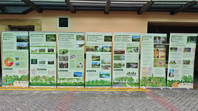 Singapore, our city nature exhibition panel