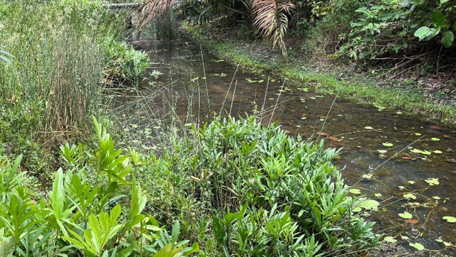 Garden ponds