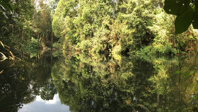 Natural ponds