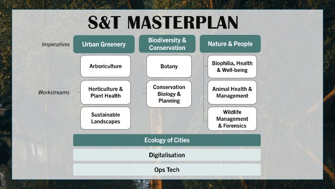 stmasterplan-workstreams