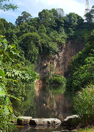 Find a park or park connector (exploring nature)