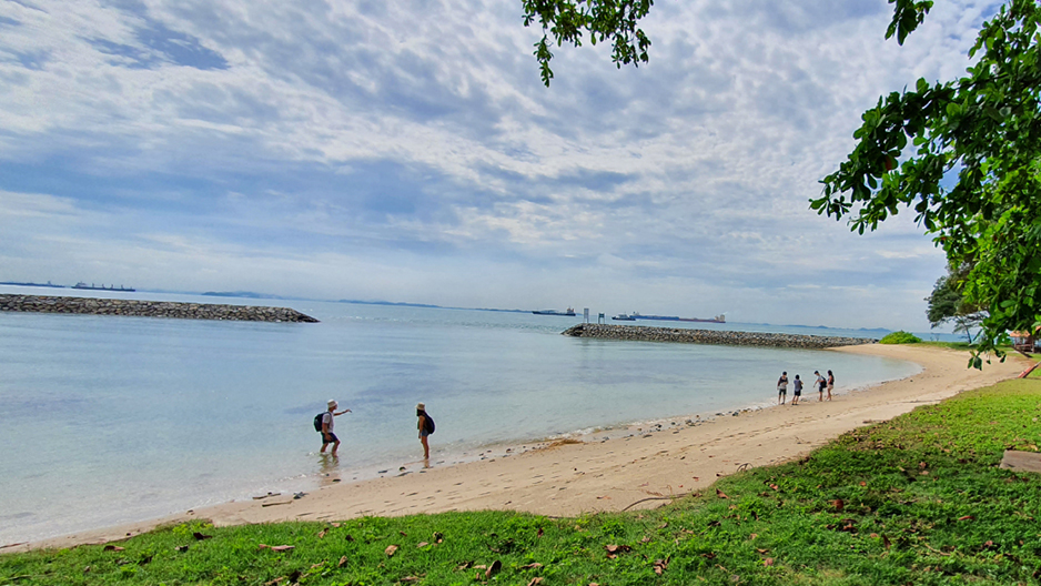 Singapore's Best Eco-Tourism Spots - Sisters' Islands Marine Park