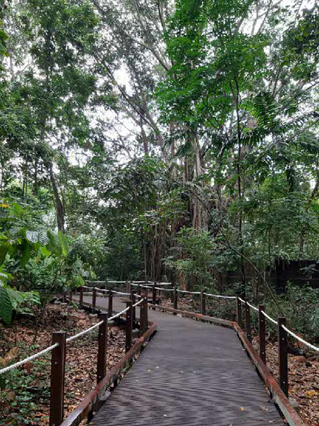 thomson nature park