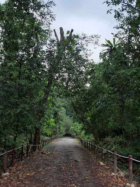 thomson nature park