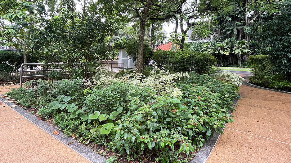 Therapeutic garden at Tiong Bahru Park