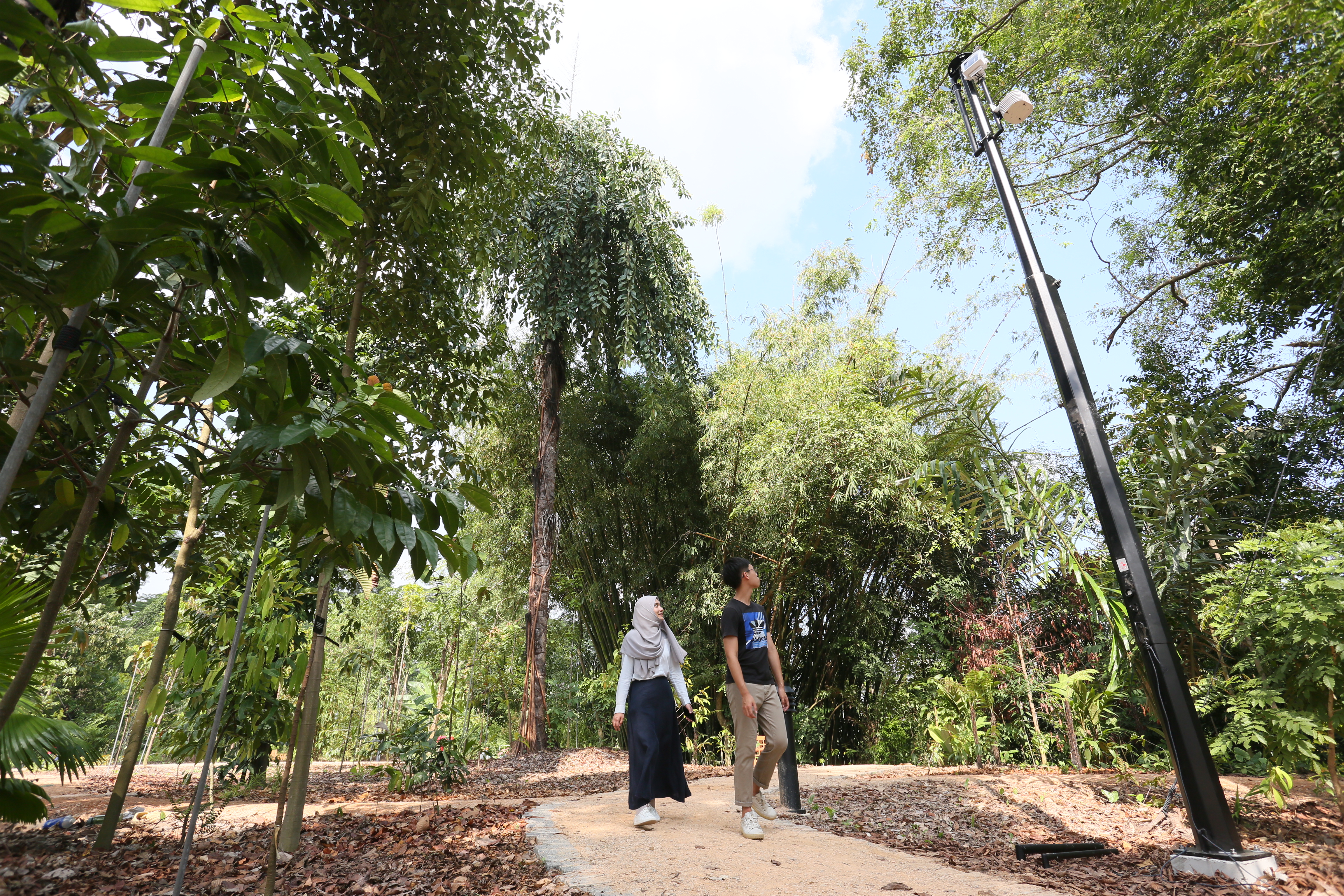 Environmental sensor at the OCBC Arboretum_Credit NParks