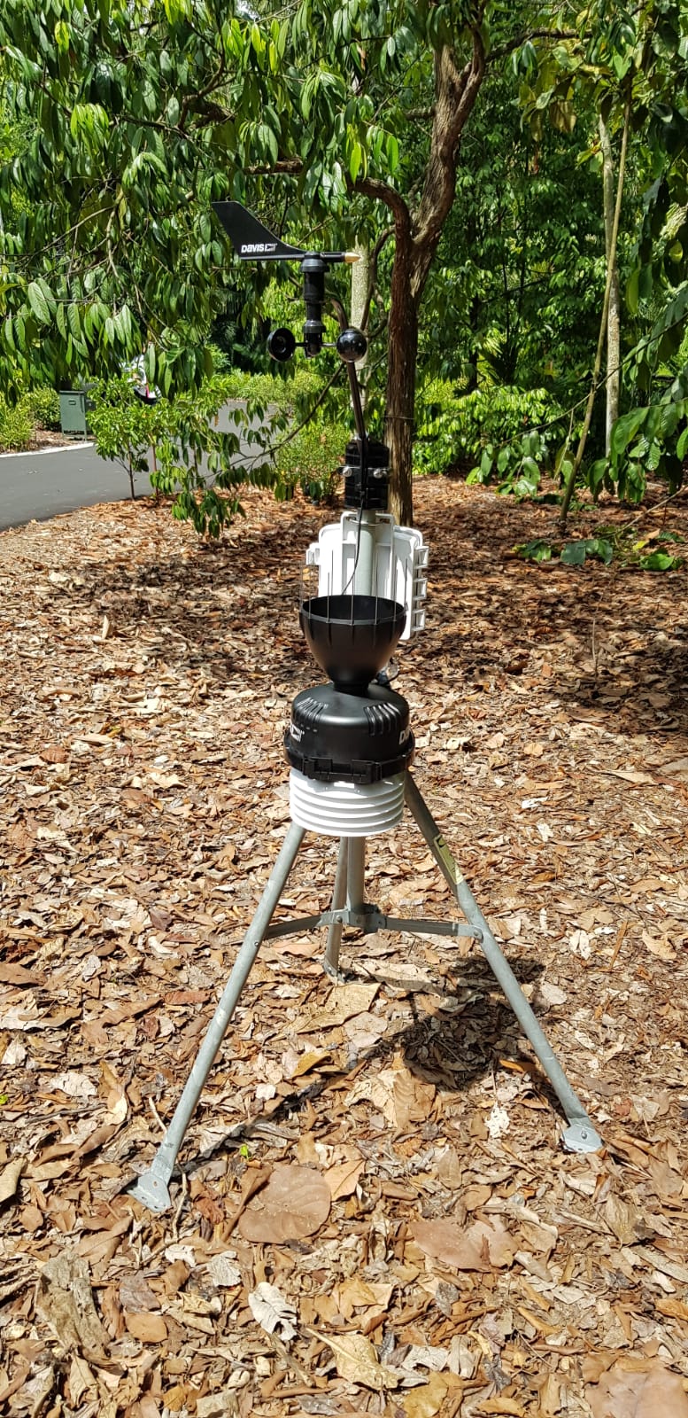 Weather station at OCBC Arboretum (Credit National Parks Board)