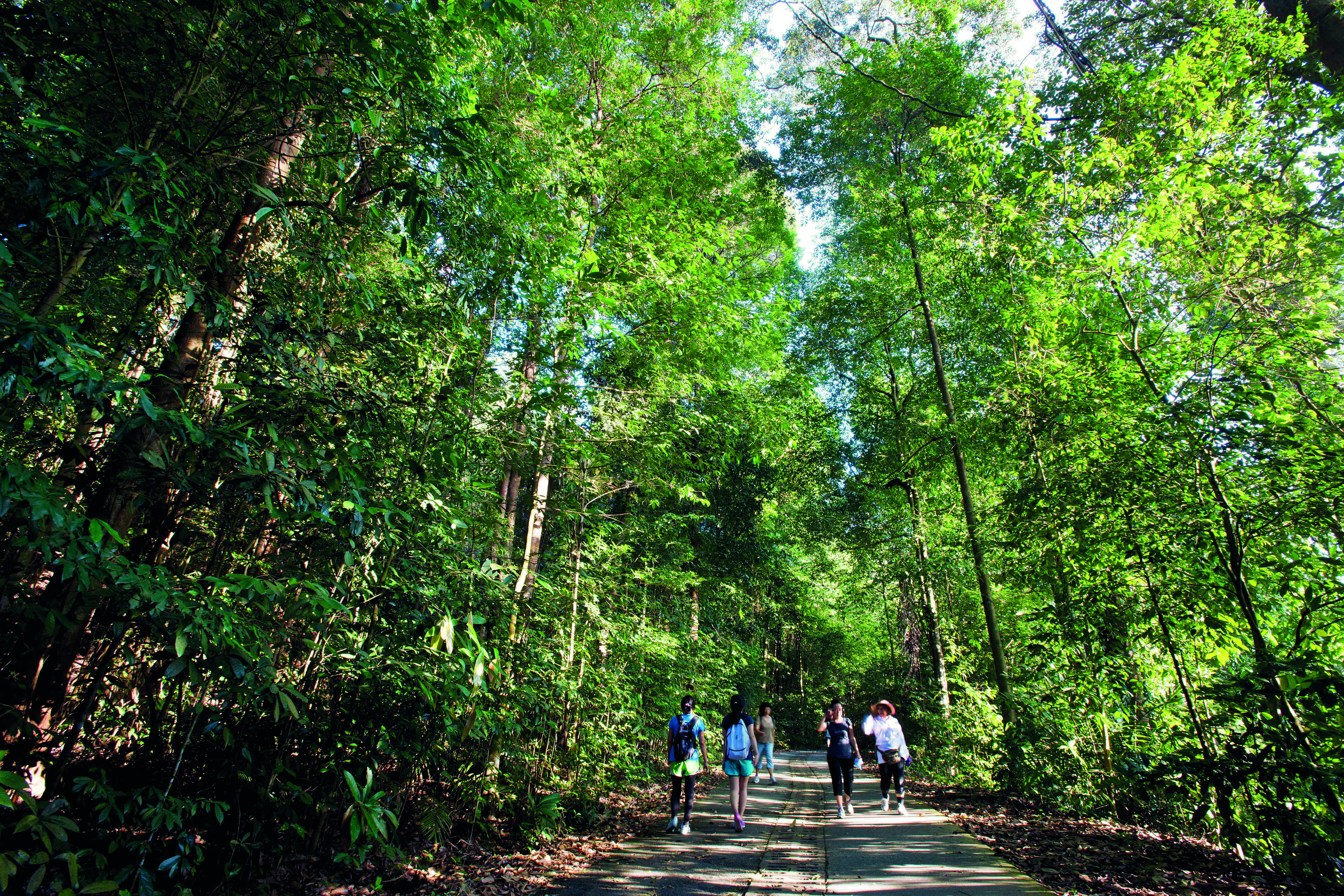 Nature Appreciation Walk at BTNR