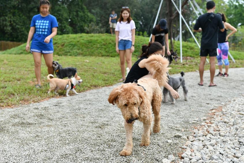 Jurong Lake 5