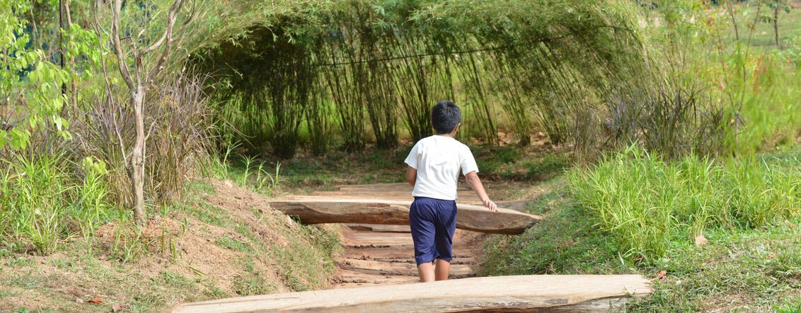 More therapeutic gardens and nature playgardens