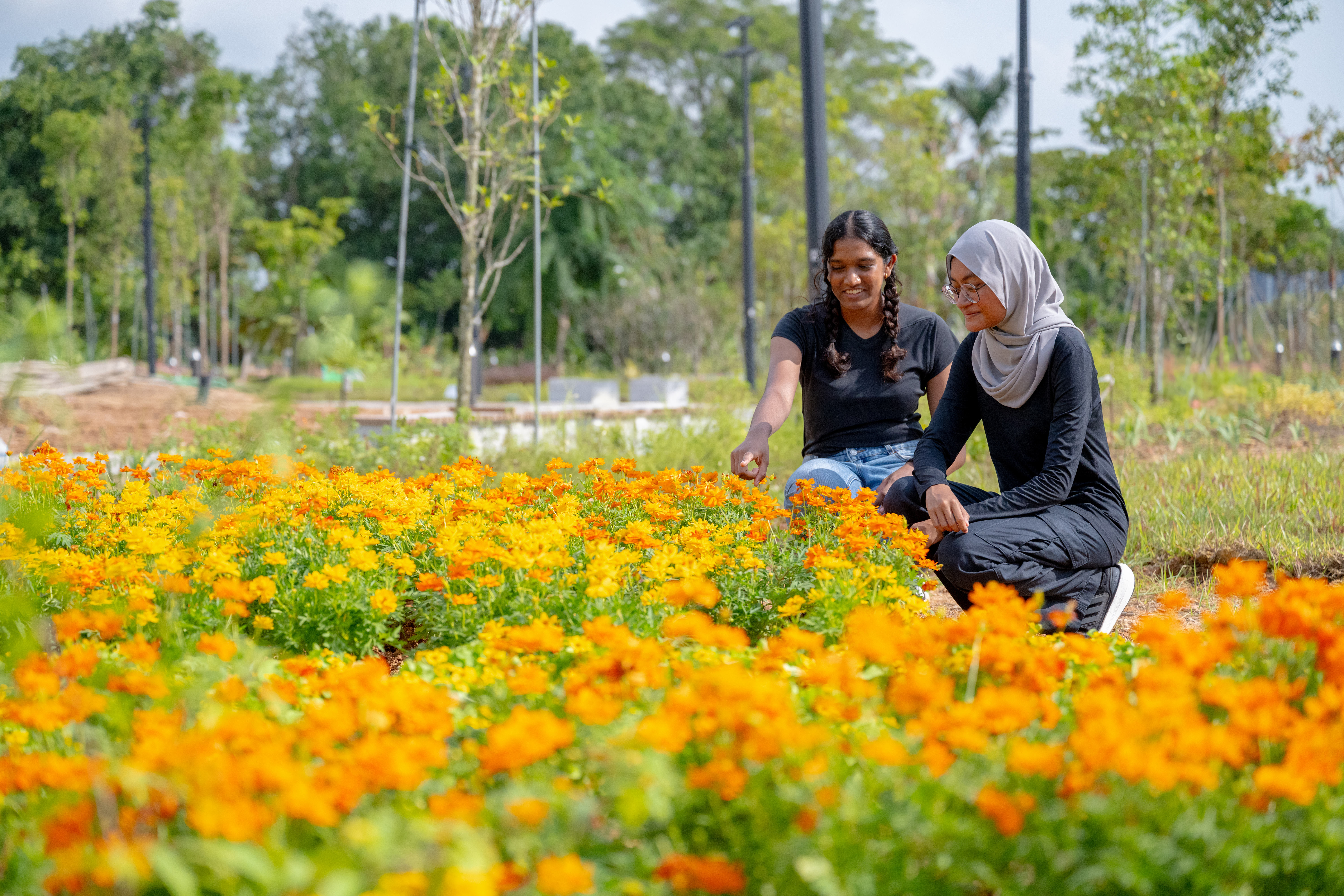 floral garden