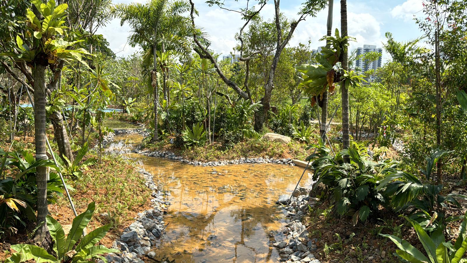 sunken garden