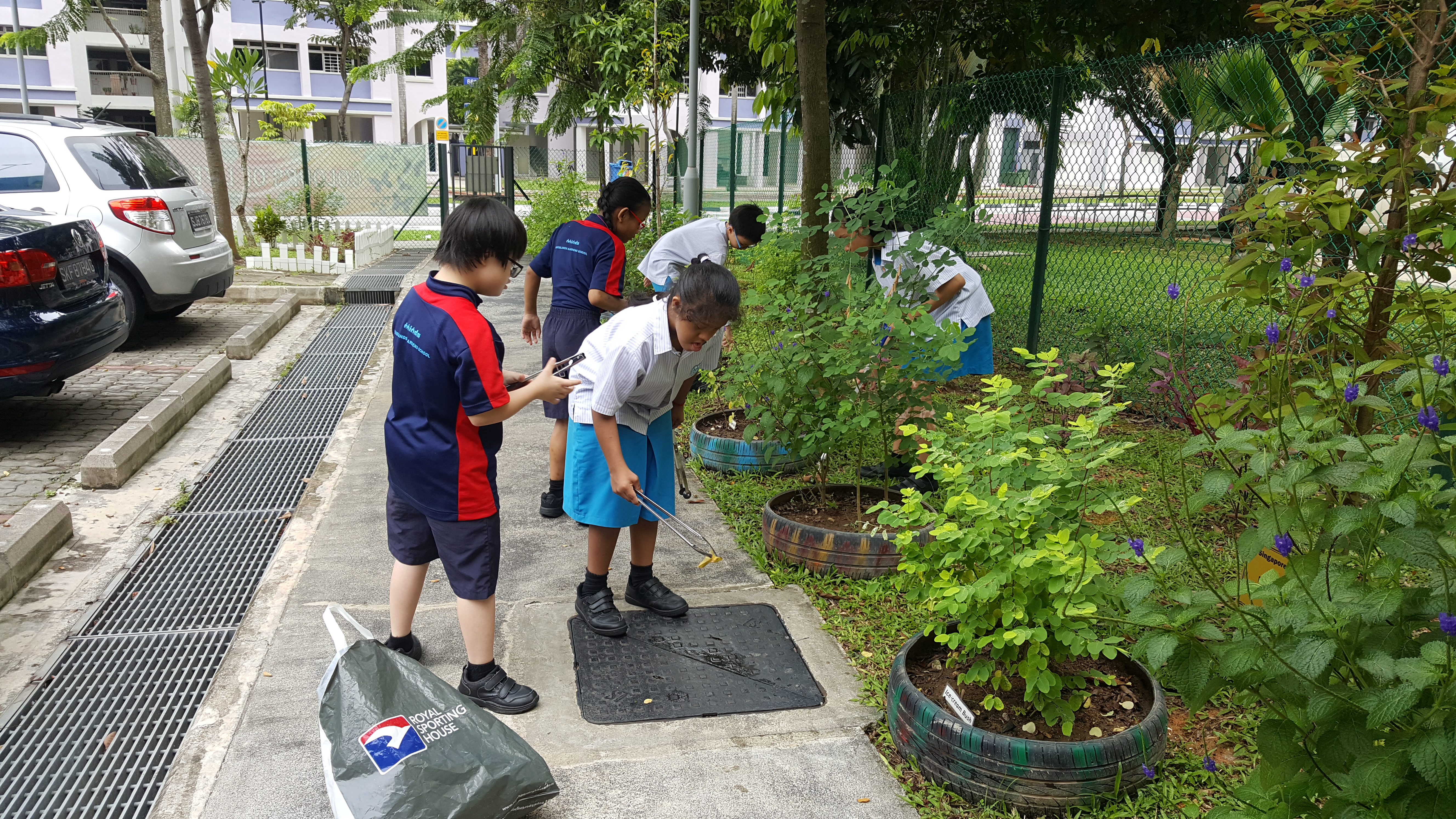 Helping Hands to Green Up Our City