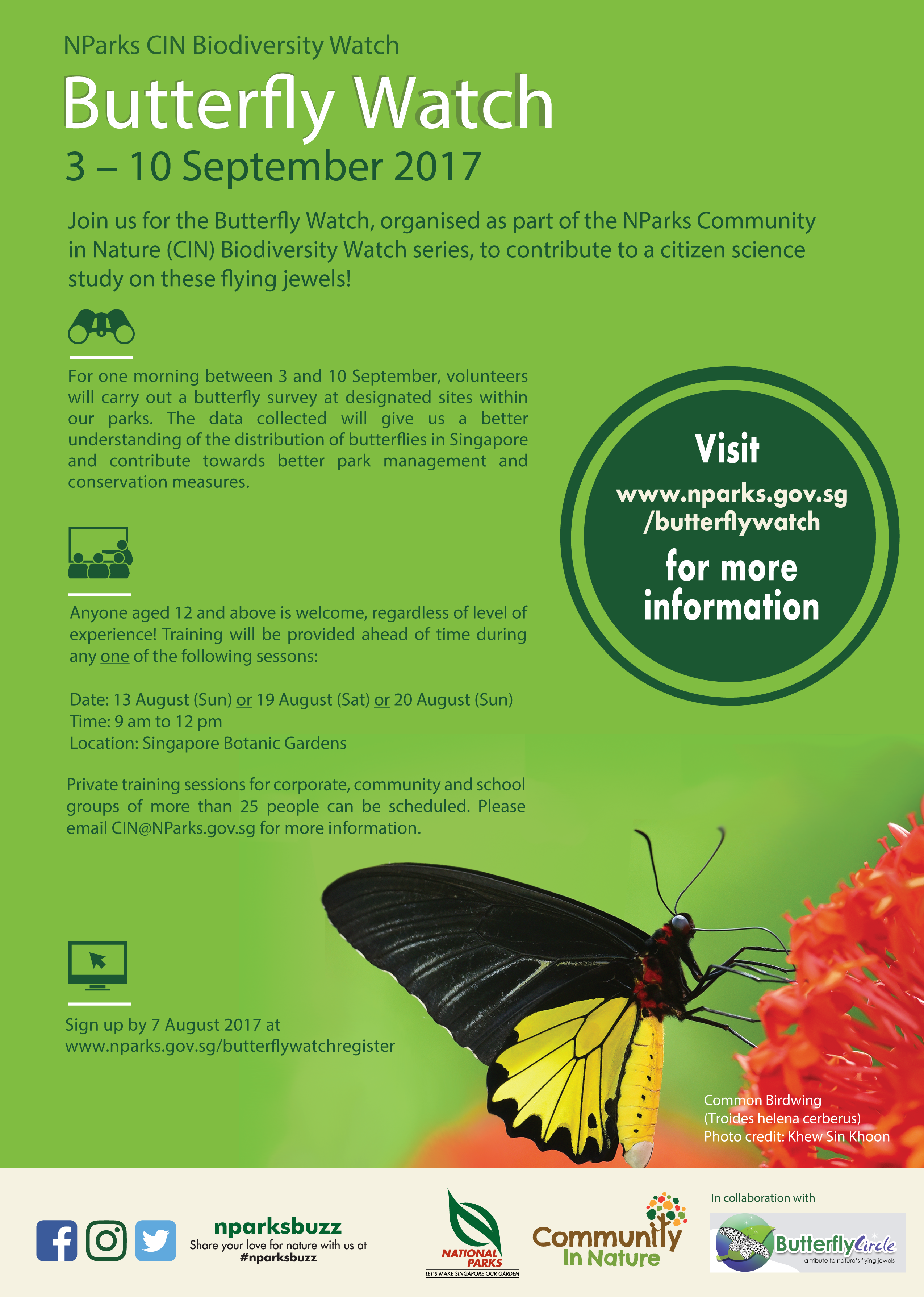 NParks Butterfly Watch - Community In Nature Initiative - Biodiversity ...