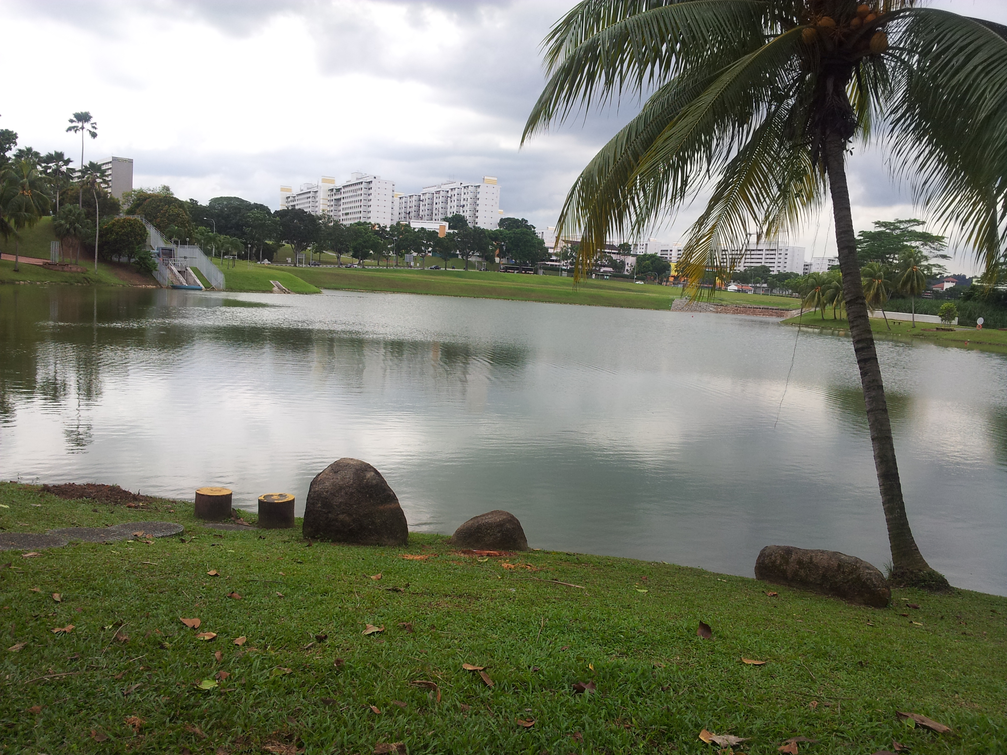 Singapore Botanic Gardens - Parks & Nature Reserves - Gardens, Parks ...